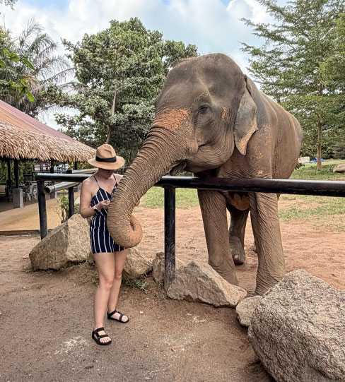 Cheryl in a sun hat reaching out to an elephant at a sanctuary
                    in Koh Samui