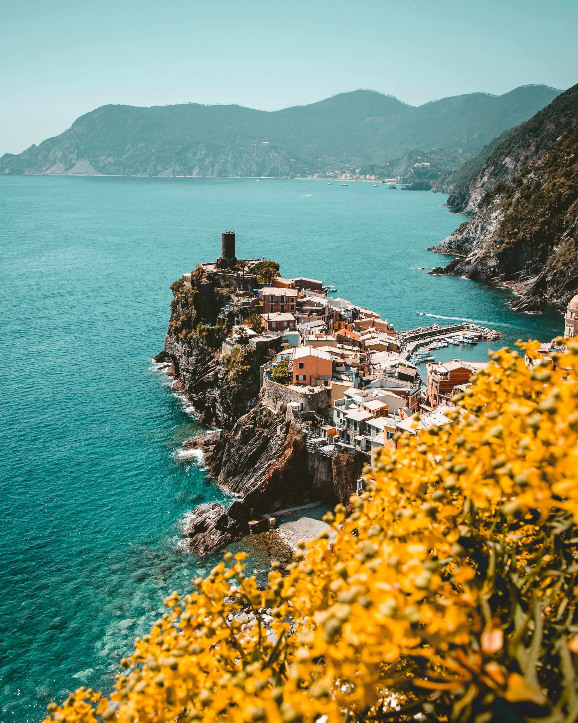 Pastel houses stacked above a harbour on the Ligurian coast, framed by wild yellow flowers in late afternoon light