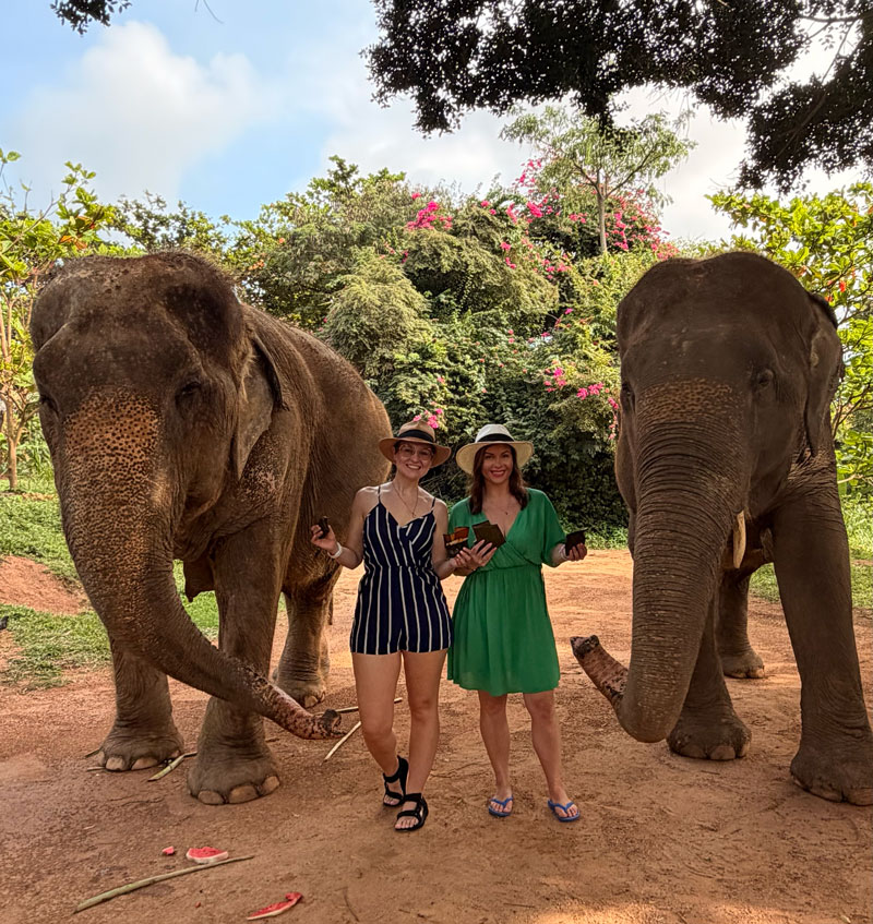 Elephant sanctuary visit in Koh Samui, Thailand — ethical elephant experience near Celeste Hotel