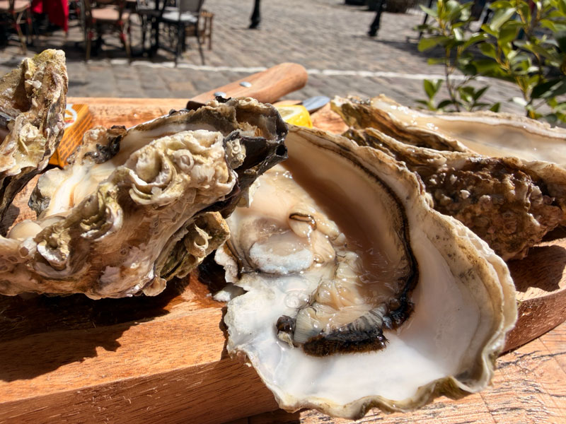 A plate of oysters served with rosé