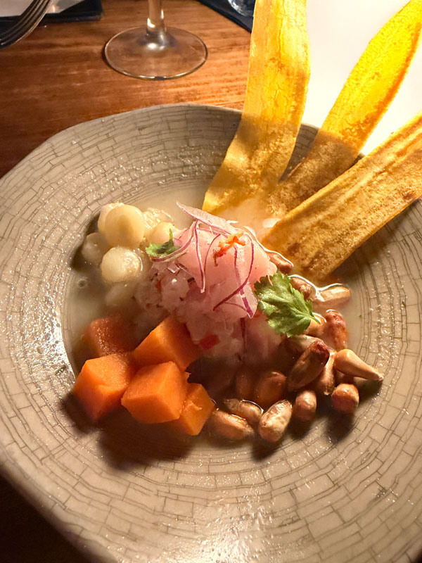 Nikkei tuna ceviche with leche de tigre at Baia Barbados, Barbados