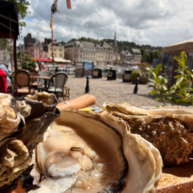 Fresh oysters served on the harbour in Honfleur, Normandy