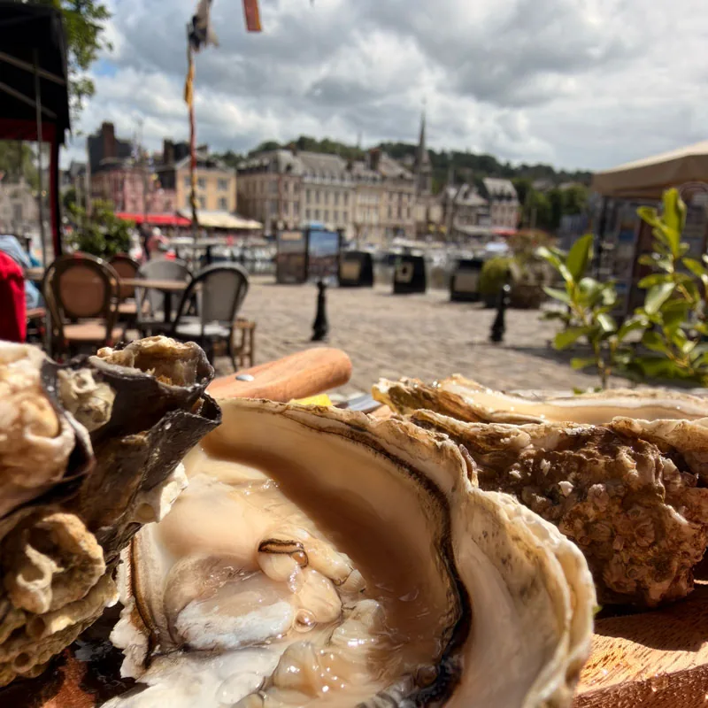 Fresh oysters served on the harbour in Honfleur, Normandy