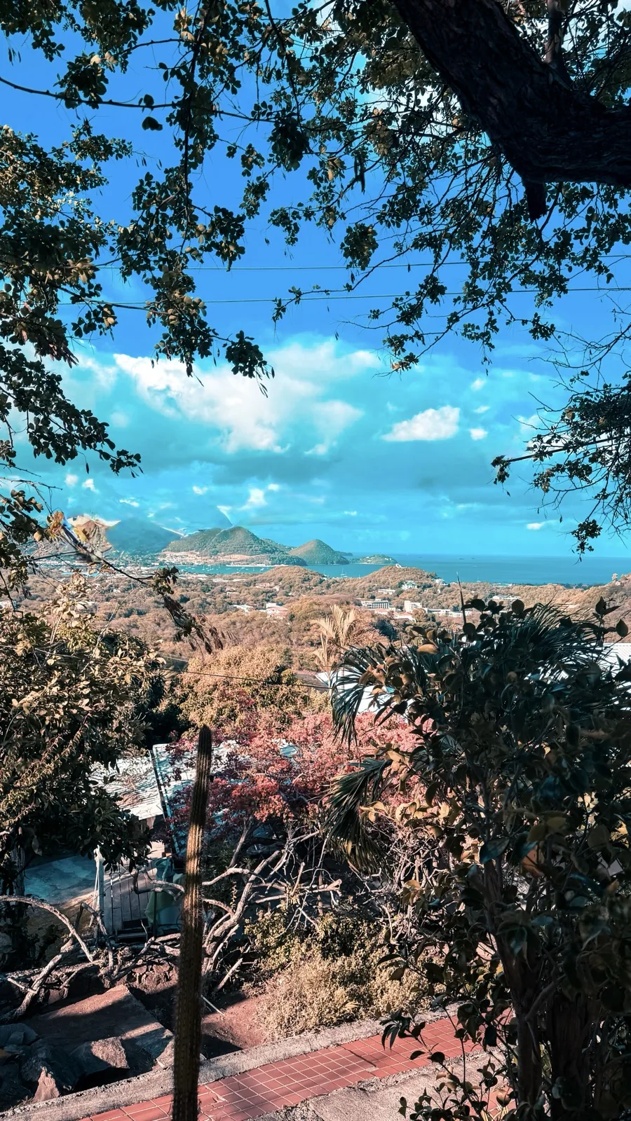 Looking down over the bay and the hills from the road above the resort