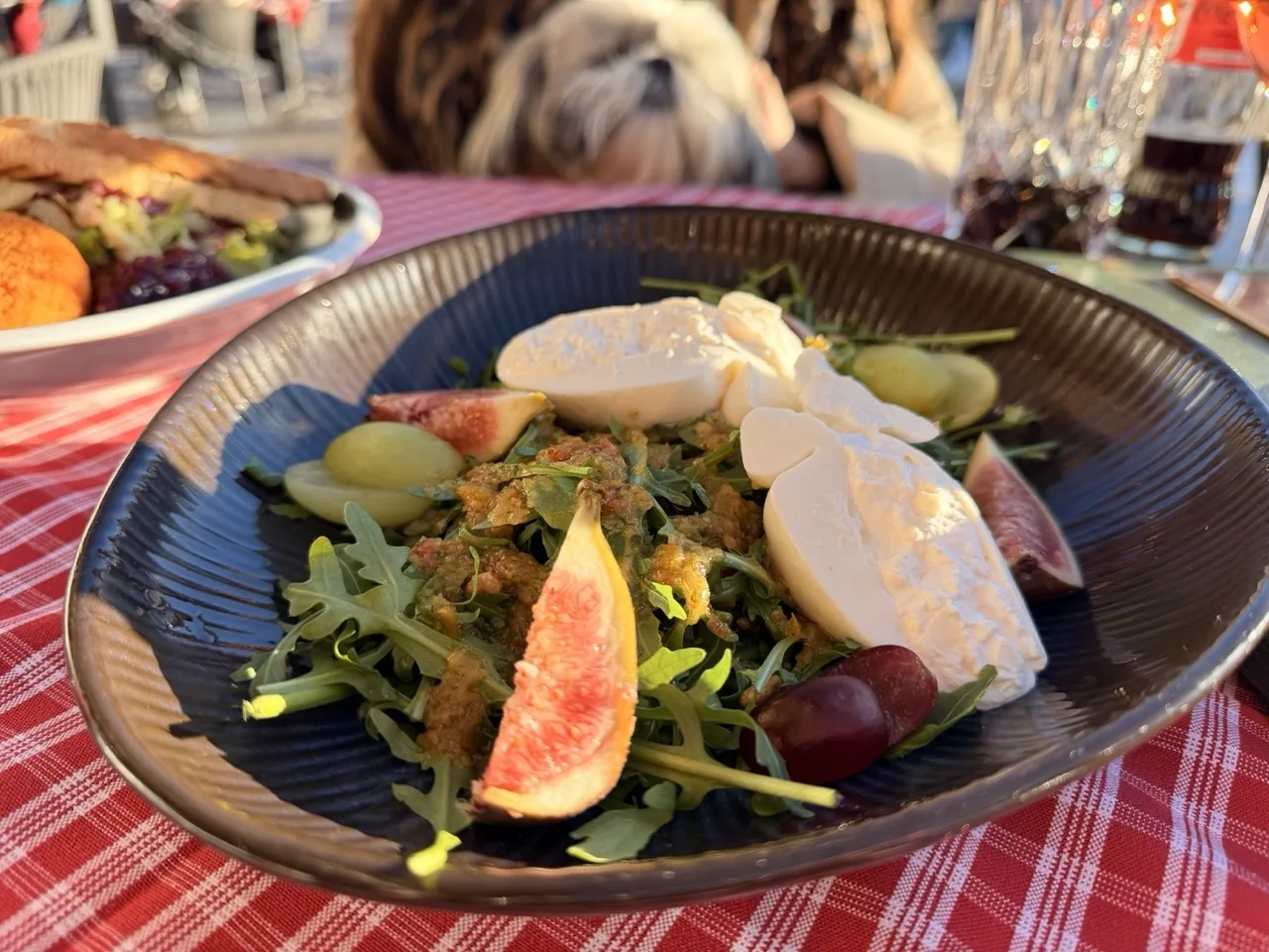Daisy watching the mozzarella salad very closely from the seat behind at Gasthof Batzenhäusl