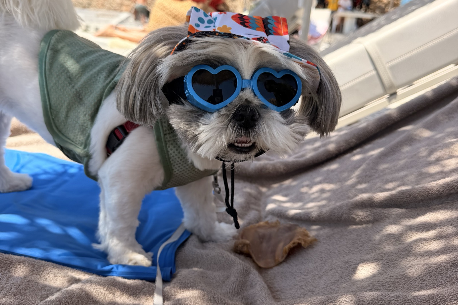Daisy of Crazy Daisy Travels in heart shaped sunglasses on a sun lounger, treated like the celebrity she believes she is at this adults only hotel