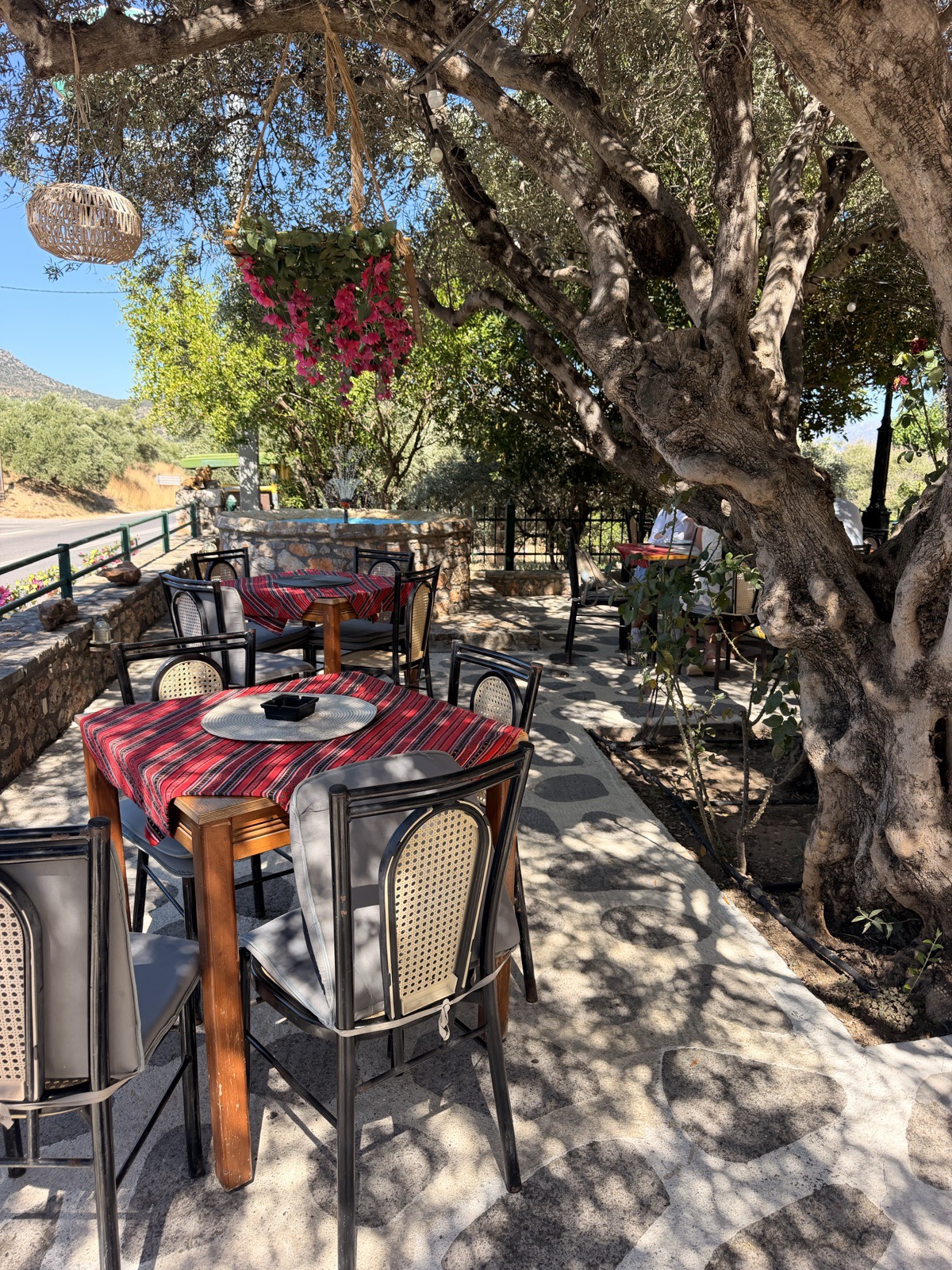 Paradise Snack Bar, the traditional mountain taverna in the hills above Agios Nikolaos where the grandmother cooks