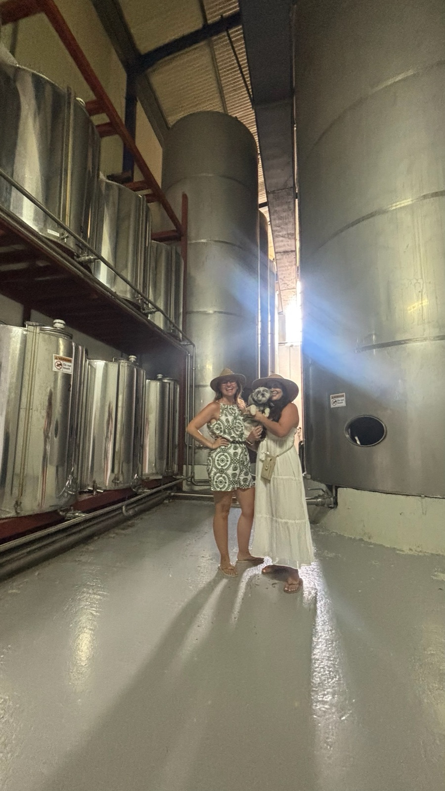Inside the bottling facility at Vassilakis Estate, among the tall steel tanks where the oil is stored
