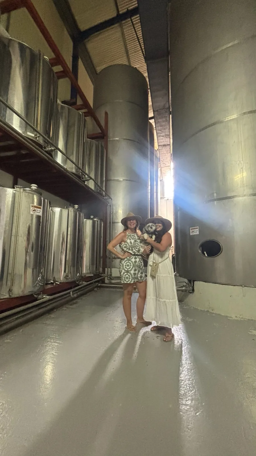 Inside the bottling facility at Vassilakis Estate, among the tall steel tanks where the oil is stored