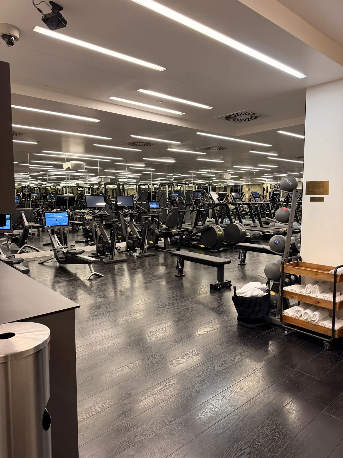 The gym at Sea Containers London, with proper cardio machines and free weights rather than two treadmills and a mat